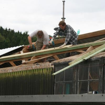 Dach8